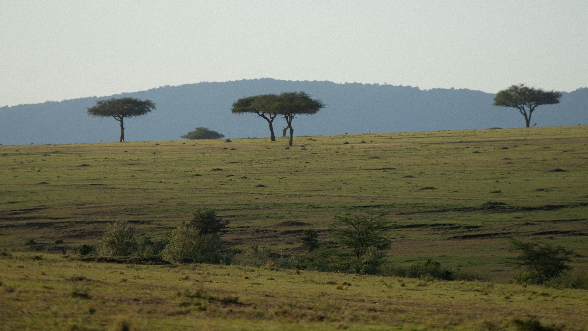 Reaching Out to Communities in Kenya